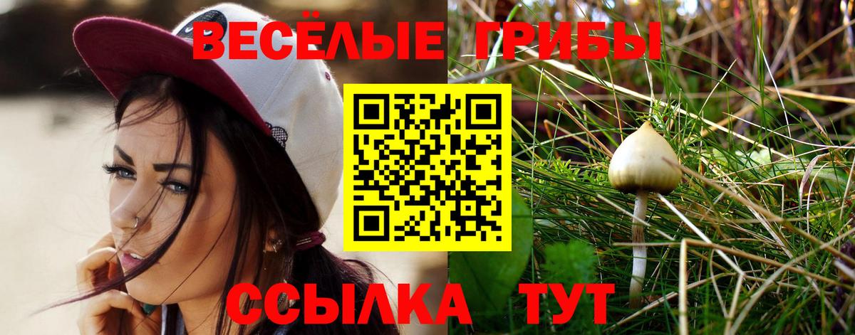 Тобольск  Псилоцибиновые грибы Magic Shrooms  Вход с VPN 